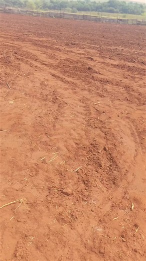 Os vídeos de SílvioSitio (@silviositio) com som original - SílvioSitio