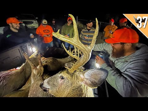 2022 Wisconsin Deer Hunt - Opening Weekend & Deer Drives