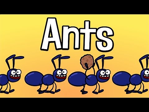 Ants Song - Funny kids song - Family song | Hooray Kids Songs & Nursery Rhymes