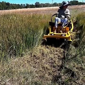 Gator lawn mower blades from Oregon really increase a mower's ability to mow reall tall and thick grass. They are mulching blades but they can be used with an open chute. #Amazing #satisfying #lawncare #lawnmower #Cool | Something 2LookAt