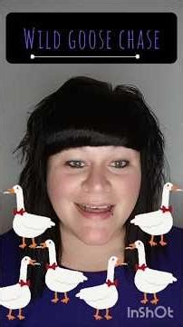 Expression: Wild Goose Chase