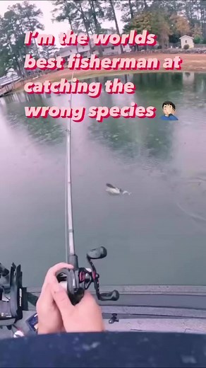 68K views · 291 reactions | I’m the Michael Jordan of catching fish species that I wasn’t trying to catch.  #fishingfail #fail #jokes #Worldsbest #bassfishing #fishingislife | Fishhook Terry | Facebook