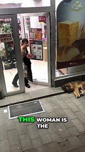 Heartwarming Act for a Stray Dog! #viralreelsシ #everyoneシ゚ #foryoupageシ #dog #doglover | Mark louie's Barber Salon
