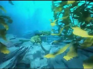 A Turtle's Tale: Sammy's Adventures - Clip - Shark