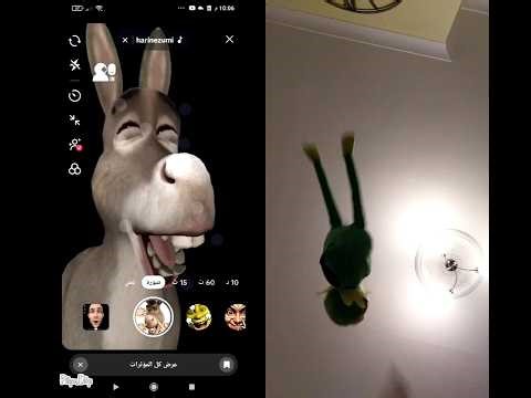 kermit and donkey fnf