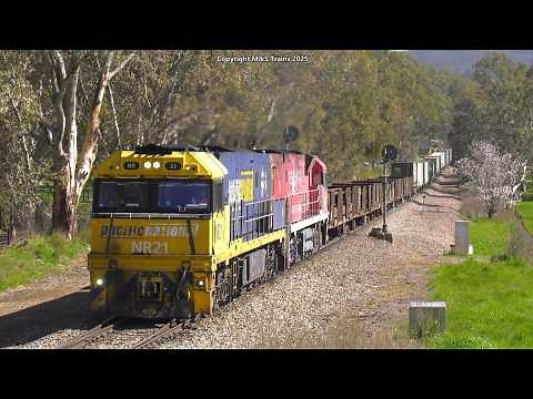 A SURGE OF AUSTRALIAN TRAINS PRIOR TO THE EAST WEST SHUTDOWN