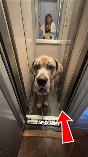 ОСТОРОЖНО ❗ САМЫЙ УЗКИЙ ЛИФТ 😱