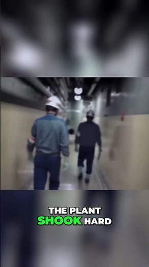 Fukushima Disaster The Day the Tsunami Struck