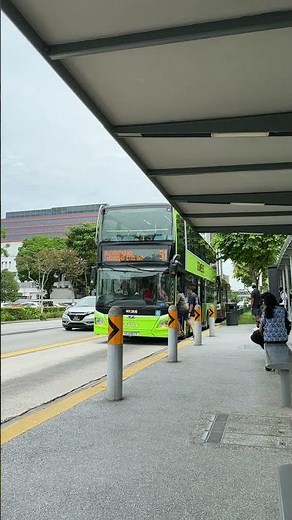 SG Bus MAN A95 double-decker #singapore #bus #transport #travelasia #travelvlog #asia #asiatravel