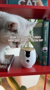 28K views · 368 reactions | Your pet can run… but with 2K and 8x zoom they cannot hide  Furbo Mini 360 exposes every adorable crime in crystal clear detail. Furbo’s BIGGEST sale of the year  Subscribe and save up to 60%. Use code FurboExtra for 60 extra days of Furbo Nanny free. | Furbo Pet Camera | Facebook