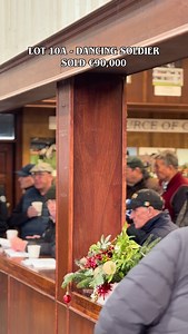 Lot 10A - DANCING SOLDIER (IRE) (2021) sold for €90,000 at the Goresbridge P2P and National Hunt Horses in Training Sale consigned by Moate Stables.🐴 Goresbridge Point-to-Point and National Hunt Horses in Training Sale takes place today (December 3rd), here in the sales complex. 🐴 📆 December 3rd ⏰ Viewings 9am | Auction 1pm 📍Goresbridge Horse Sales Complex Join the auction here, https://www.goresbridgeonlineauctions.com/auctions/24025-select-sale-of-point-to-point-and-nh-horses-in-training/s