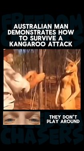 951K views · 1.9K reactions | Man shows how to survive a kangaroo attack  #fyp #viral #trending #FreedomChasers #funny #Australian #Australia #kangaroo #attack #defense #animals #nature #fighting #taming #wild #outback #crazy #noway | Freedom Chasers | Facebook