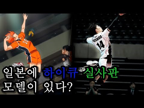 일본 배구계의 오타니 | 니시다 유지 (nishida yuji)