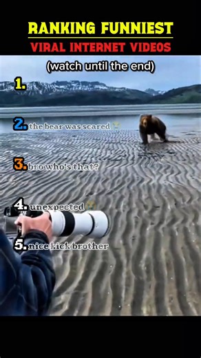 The Internet is Officially Cooked 😂 #shorts