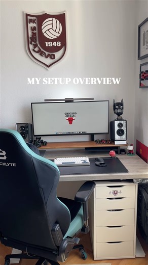 Work from home setup of software engineer