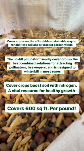 Our No-Till Organic Pollinator Friendly Cover Crop Mix is a custom blend of cover crop seeds formulated to enrich your soil while also attracting beneficial pollinators to your garden or farm. Includes 25% each of: crimson clover, hairy vetch, peas, and oats. Peas and vetch have extra-floral nectaries that are accessible to pollinators of all sizes, including important species native to your region. Crimson clover is particularly attractive to bees and produces delicious, high-yield honey for be