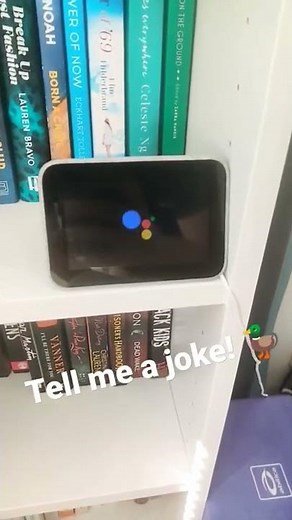 Hey Google! Tell me a Joke 🦆