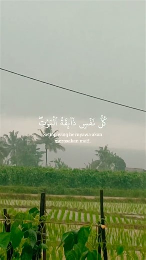 kita nunggu apa lagi selain kematian 🥀