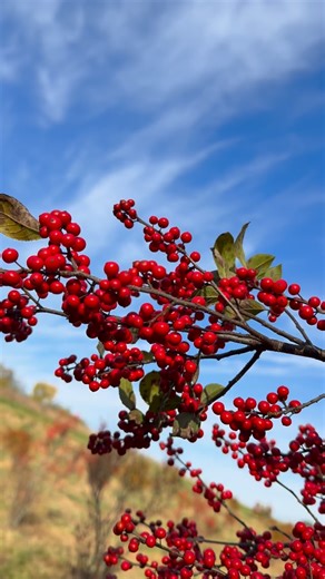 1.2K views · 104 reactions | 2 MONTHS until Christmas! Can you...