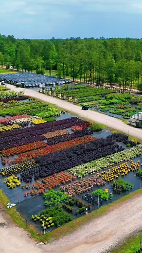 A little view into our world! 50 acres, 16 fields, and 23 greenhouses. We are growing for you! #greenthumb #nurserylife #plantsoverpeople #phillipsnursery #familyownedbusiness #plantlife #wegrowforyou