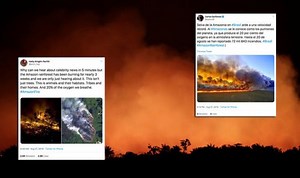 Amazon rainforest: NASA map shows carbon dioxide from fires