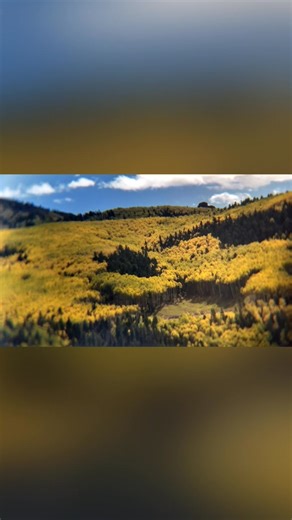 Fall 2017 | Larry Pearson | Facebook