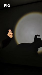 96 reactions · 11 shares | @boomshadowace shows you how to make the pig, owl, and mink from our logo as shadow puppets! Submit your own shadow puppet video for the chance to win a journey for 2 to the Great Bear Rainforest. A more humane world is in all of our hands. Click to learn more. Terms and condition apply. #inourhands #contest | Humane World for Animals | Facebook