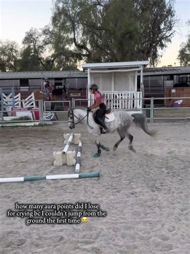 😭😭😭 ( #horse #equestrianjourney #trending #tiktok #lol #love #giveaway )