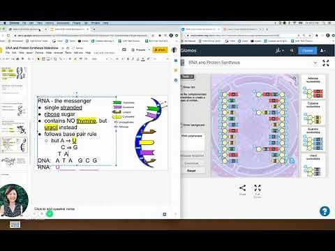 RNA and Protein Synthesis Gizmo Instructions (older version)
