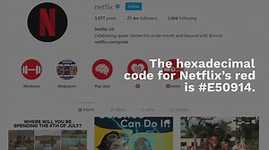 Netflix Color Palette Hex, RGB & HSL