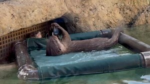 Cincinnati Zoo & Botanical Garden on Reels