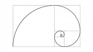 2d Flat Animation Golden Ratio Fibonacci Stok Videosu (%100 Telifsiz) 1095366309 | Shutterstock