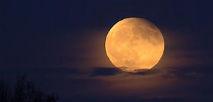 Orbes, ¿espíritus que se manifiestan en forma de bolas de luz?