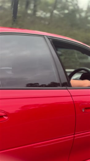 Holden Commodore: A Street Car Enthusiast's Dream