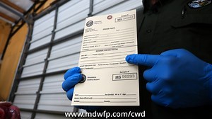 CWD Deer Sample Video.mov