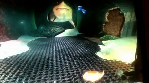 lets play finding nemo part 1 lets hit the water!