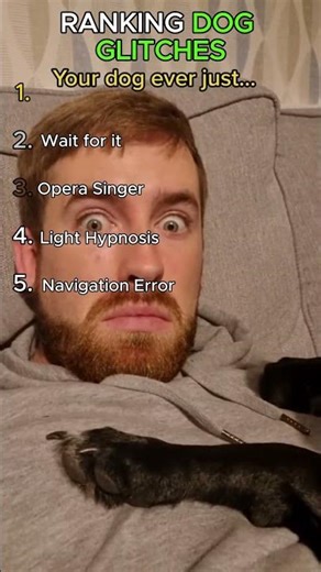 RANKING DOG GLITCHES🐶 | Which one is your favorite? #shorts #dogs #viralshorts