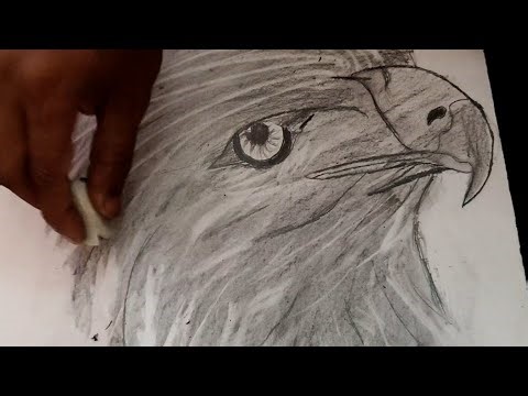 Easy eagle drawing || How to draw eagle drawing
