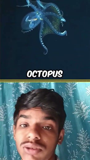 world most invisible creature part 3😱😱 #usafacts #usashorts