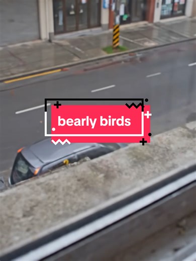 This pigeon flew up to the window and something was clearly attached to it… 📸🐦 At first it looks normal—then you notice the device. People say “just a tracker” but why does it look like a camera? Ever wonder how much surveillance blends into everyday life… until it lands right in front of you? #caughtoncamera #surveillance #conspiracy #weirdtok #fyp for entertainment purposes only made with ai