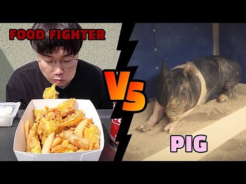 먹방BJ vs 돼지 (FOOD FIGHTER vs PIG)
