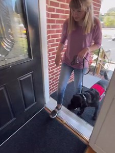 4.8K views · 189 reactions | Here’s one example of how service dogs can help autistic people!  #servicedog #autism #autismawareness #autistic #w | Autism Talk | Facebook