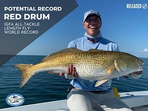 27 reactions | Paul Heinold recently submitted this impressive...