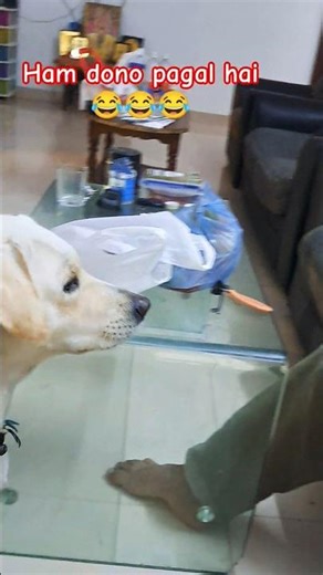 fanny video 😜📸🐶 #funny #comedy #viralvideo#shortvideos #subscribe#youtubeshorts #newyoutuber#ytviral