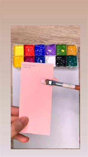 TheColorAlchemist | Peach Pink Color Match Challenge | Instagram