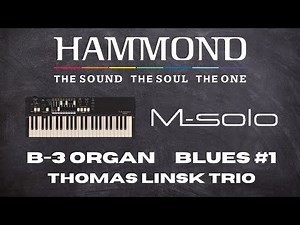 Hammond M-solo B-3 type Organ Video Demo Blues #1