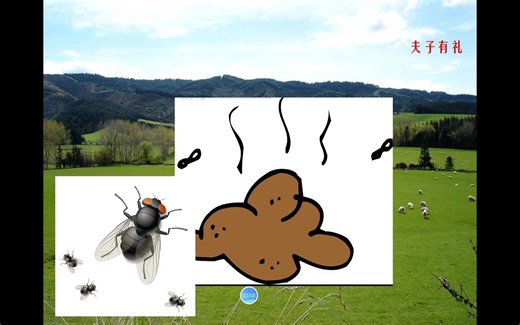 高中生物必修三《生态系统的结构》微课