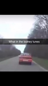 CHAP MARKETS (@chapmarkets)’s video of The Looney Tunes Show