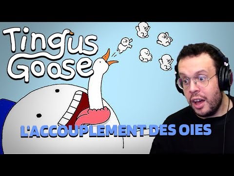 L'ACCOUPLEMENT DES OIES.