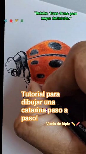 🐞 Cómo dibujar una mariquita realista paso a paso | Tutorial de dibujo con lápices de colores